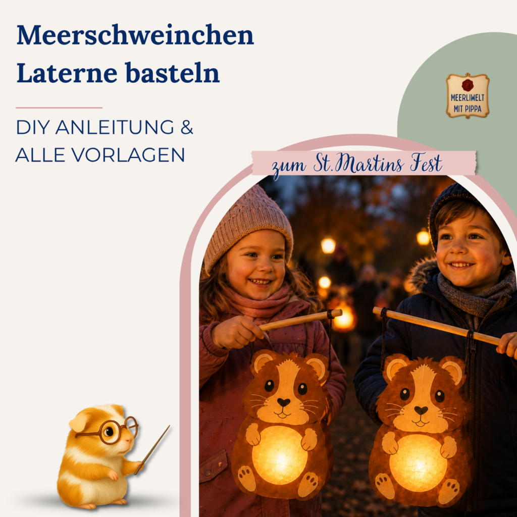 DIY  Meerschweinchen-Laterne basteln